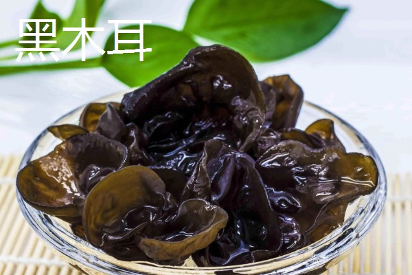 东北的特产有哪些，有黑木耳、人参等