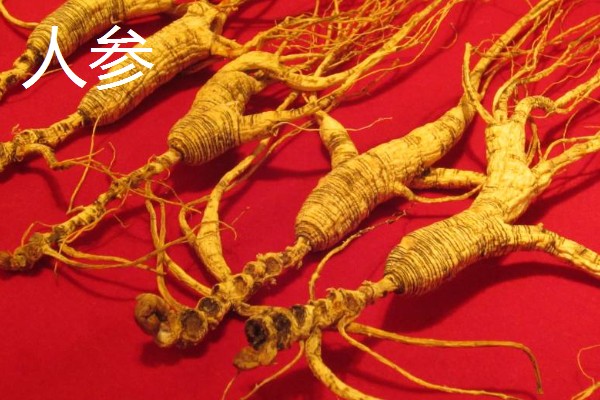 东北的特产有哪些，有黑木耳、人参等