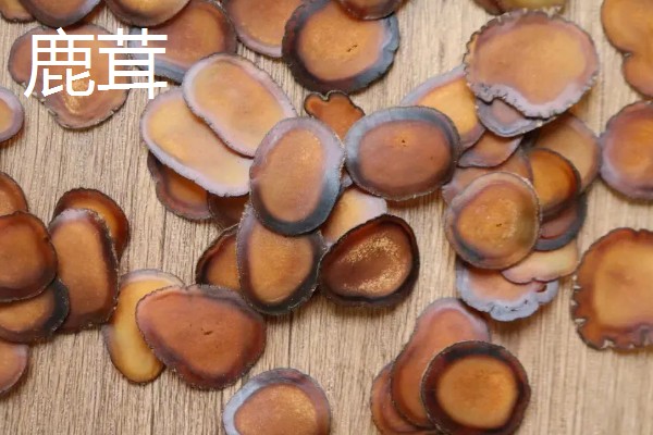 东北的特产有哪些，有黑木耳、人参等