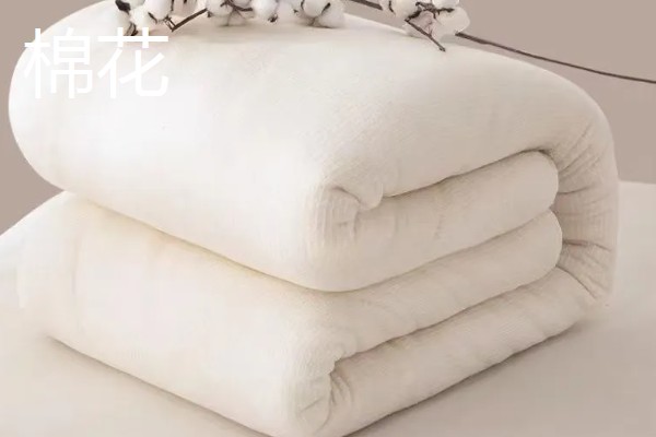 大豆纤维被子和棉花被子对比,前者手感好、后者的保暖性能和蓄热能力好