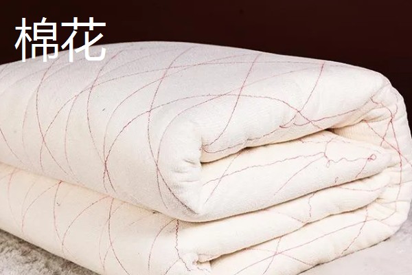 大豆纤维被子和棉花被子对比,前者手感好、后者的保暖性能和蓄热能力好