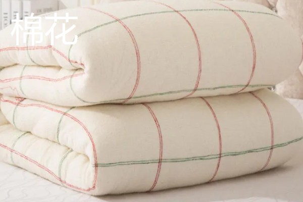 大豆纤维被子和棉花被子对比,前者手感好、后者的保暖性能和蓄热能力好