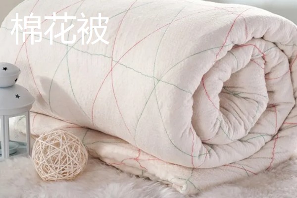 大豆纤维被子和棉花被子对比,前者手感好、后者的保暖性能和蓄热能力好