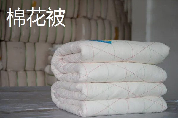 大豆纤维被子和棉花被子对比,前者手感好、后者的保暖性能和蓄热能力好