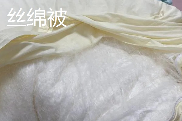 大豆纤维被子和棉花被子对比,前者手感好、后者的保暖性能和蓄热能力好