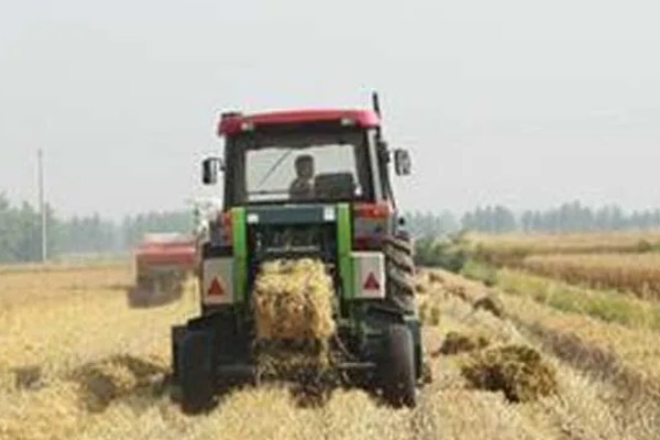 秸秆还田机的使用方法，玉米秸长度5厘米左右为宜