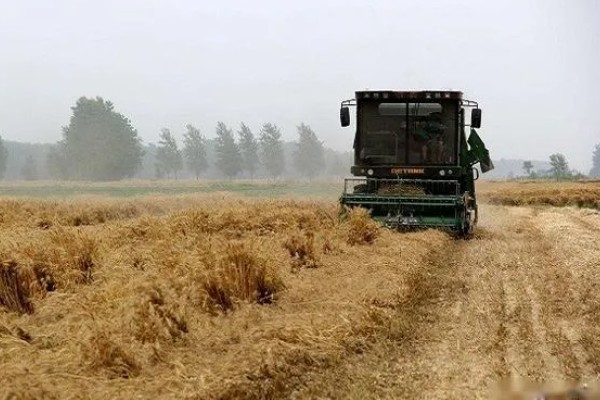 秸秆还田机的使用方法，玉米秸长度5厘米左右为宜