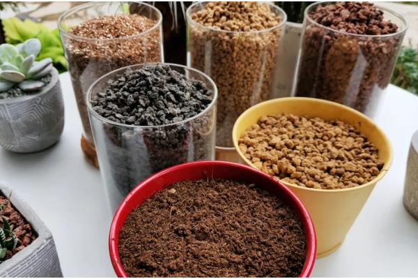 紫乐可以暴晒吗,紫乐不能暴晒