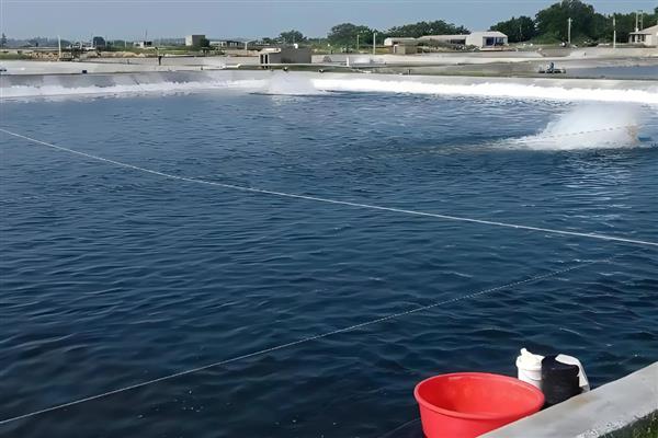 养殖罗非鱼需要什么温度,生长适温28-32℃