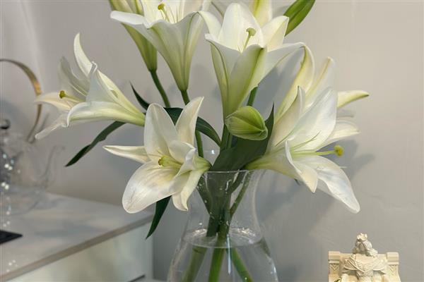 百合插花的留叶数量，上部保留12片较合适