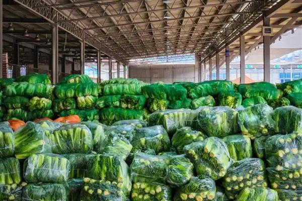 哪些特色农业项目可以致富，特色种植业、休闲养殖业等项目值得考虑