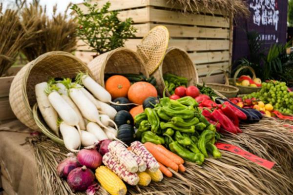 哪些特色农业项目可以致富，特色种植业、休闲养殖业等项目值得考虑