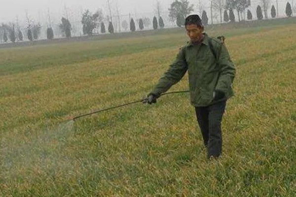 冬季农药使用注意事项，喷药时要注意气候变化