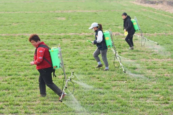 冬季农药使用注意事项，喷药时要注意气候变化