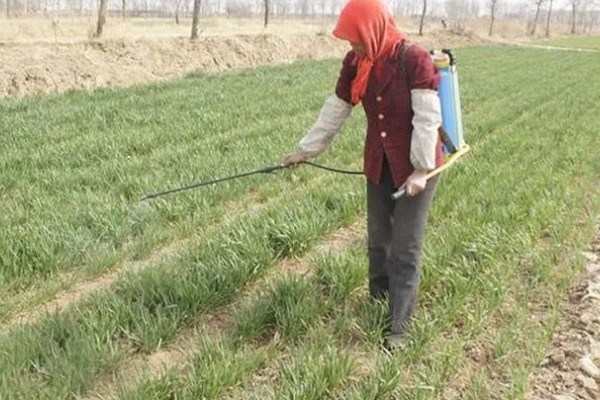 冬季农药使用注意事项，喷药时要注意气候变化