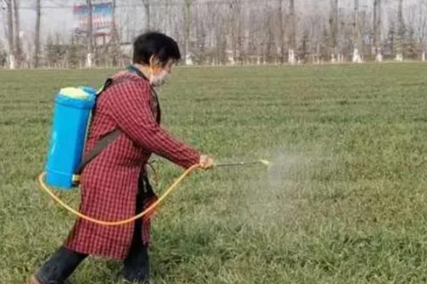 冬季农药使用注意事项，喷药时要注意气候变化