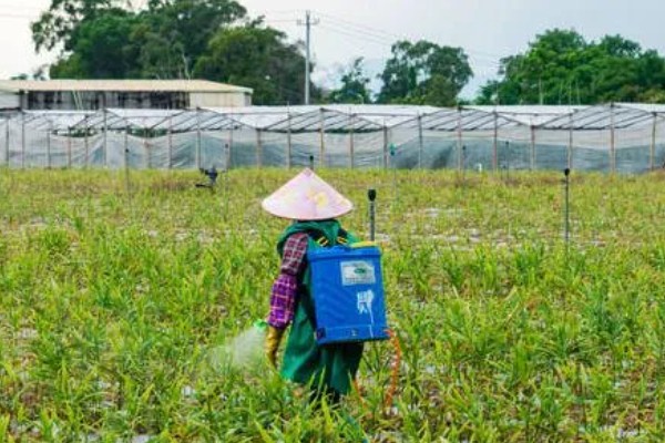 冬季农药使用注意事项，喷药时要注意气候变化