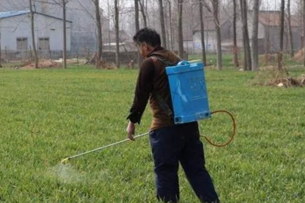 冬季农药使用注意事项，喷药时要注意气候变化