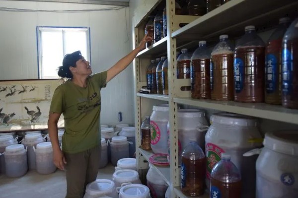 冬季农药使用注意事项，喷药时要注意气候变化