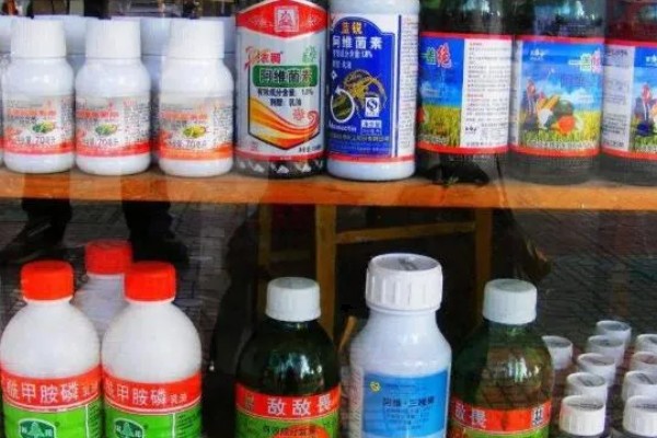 冬季农药使用注意事项，喷药时要注意气候变化