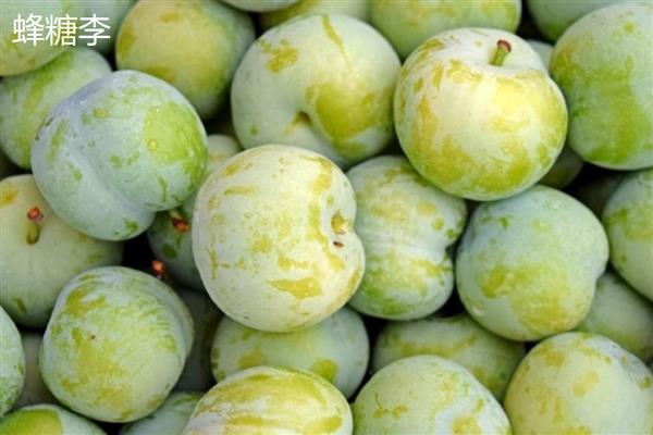 李子坐果率低是什么原因，可能是气候原因所致