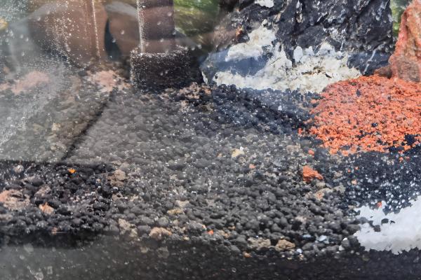 满水如何栽培水草种子,撒播后经过1-2天再注满水