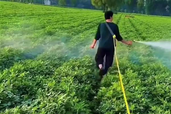 乙草胺的使用范围与方法,对马唐、狗尾草等有特效