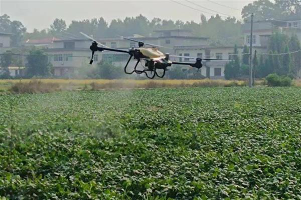 乙草胺的使用范围与方法,对马唐、狗尾草等有特效