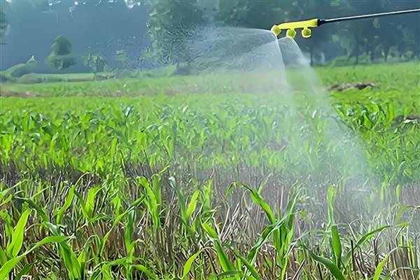 乙草胺的使用范围与方法,对马唐、狗尾草等有特效