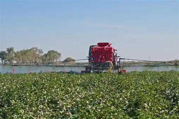 乙草胺的使用范围与方法,对马唐、狗尾草等有特效