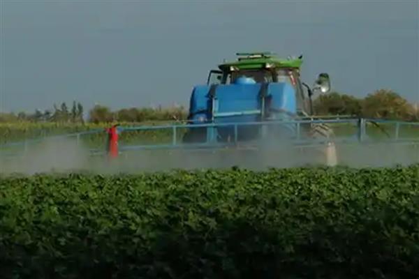 乙草胺的使用范围与方法,对马唐、狗尾草等有特效