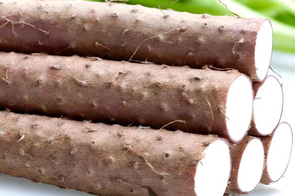 野生山药与人工种的区别，外形和口感均不同