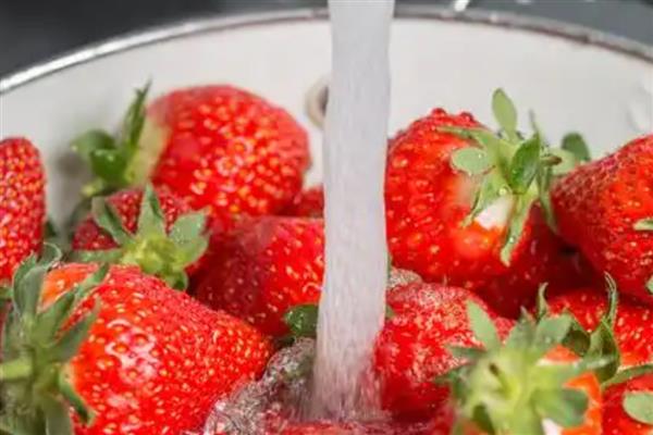 怎么洗草莓,用流通的清水冲洗