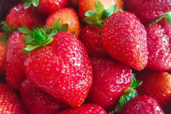 怎么洗草莓,用流通的清水冲洗