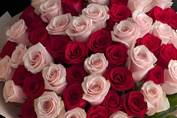 哪些花卉适合在母亲过生日时赠送,康乃馨、满天星等品种是不错的选择