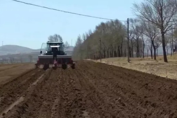 南方蓝莓的种植方法，土壤PH值为4.5-5为佳