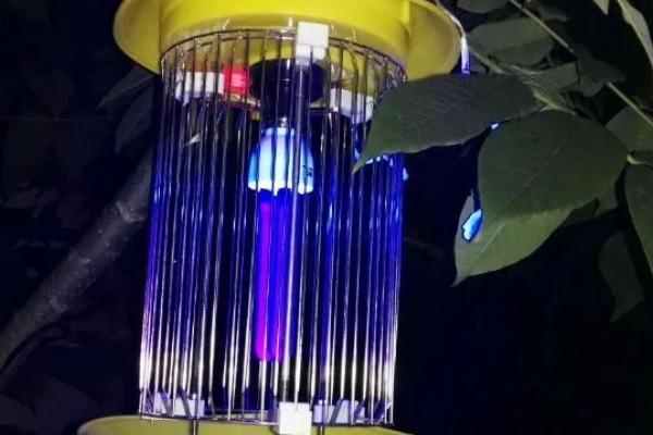 南方蓝莓的种植方法，土壤PH值为4.5-5为佳