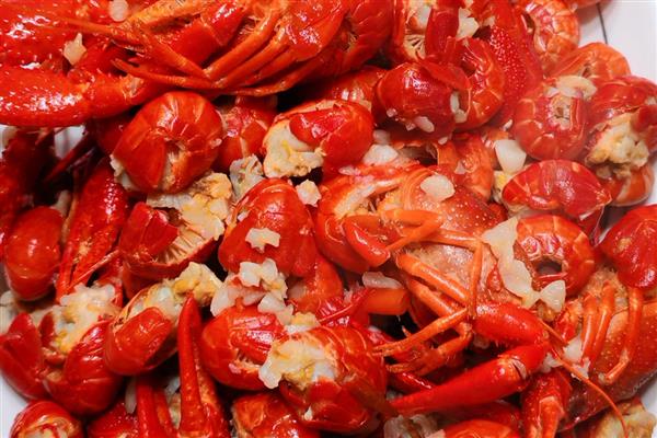 挑选优质小龙虾的方法,青色龙虾的肉质更鲜嫩