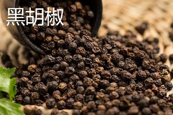 胡椒怎么加工，黑胡椒与白胡椒的加工方式不同