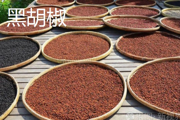 胡椒怎么加工，黑胡椒与白胡椒的加工方式不同