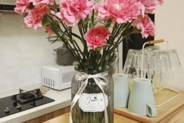 康乃馨生根的方法，最好选择透明的容器水培