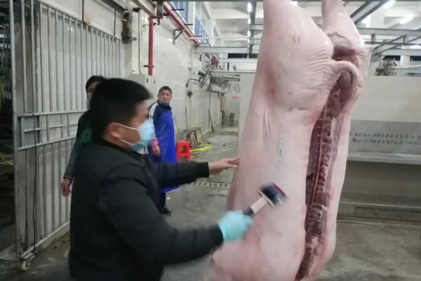 生猪运输需要哪些手续，需要办理产地检验合格证明