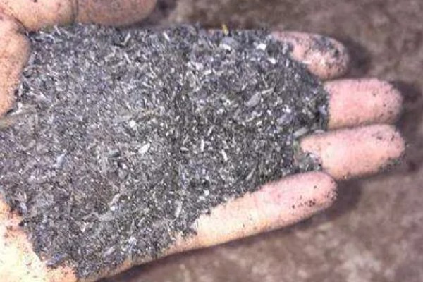 草木灰能种多肉吗，草木灰可以种多肉