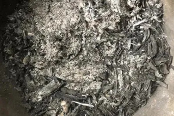 草木灰能种多肉吗，草木灰可以种多肉