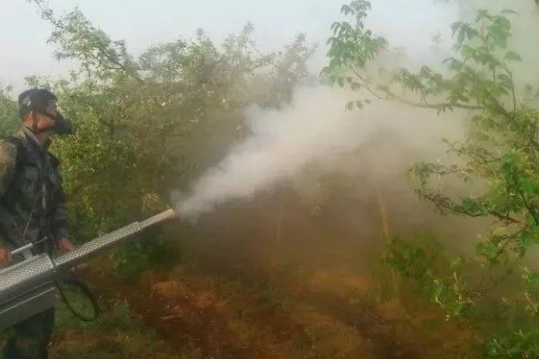 怎样用农药防治钻蛀害虫，生长期发现蛀虫危害及时防治