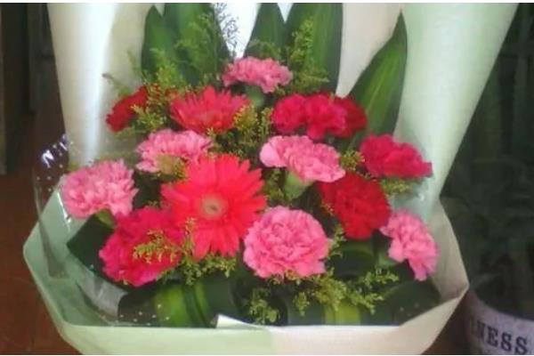 12支康乃馨花的寓意,寓意感激母亲、全部的爱等