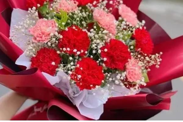 12支康乃馨花的寓意,寓意感激母亲、全部的爱等