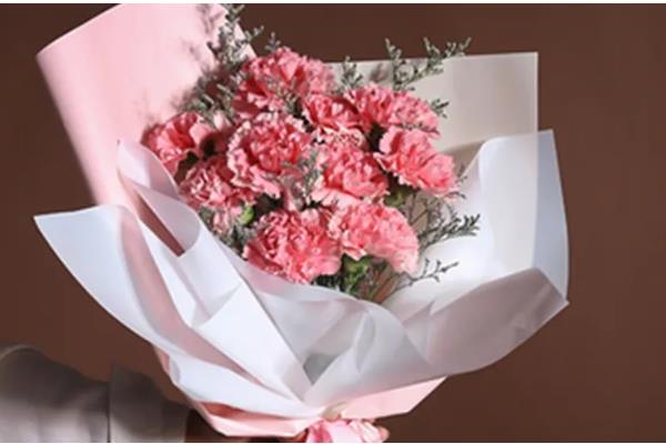 12支康乃馨花的寓意,寓意感激母亲、全部的爱等