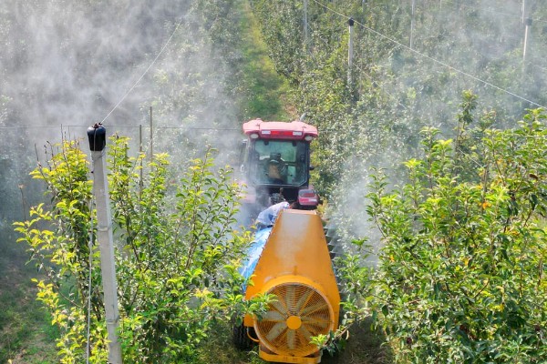 怎样用农药防治钻蛀害虫，生长期发现蛀虫危害及时防治