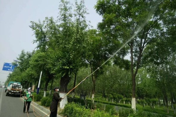 怎样用农药防治钻蛀害虫，生长期发现蛀虫危害及时防治